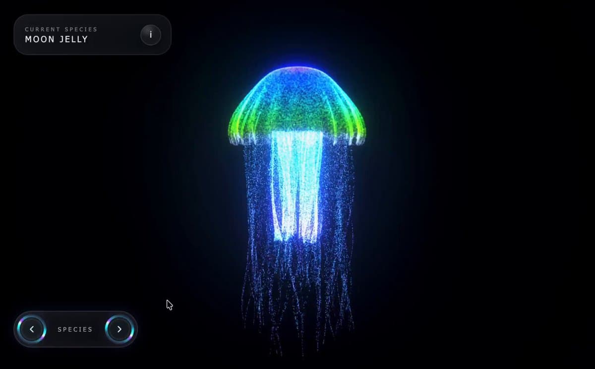 Jellyfish Particle Explorer